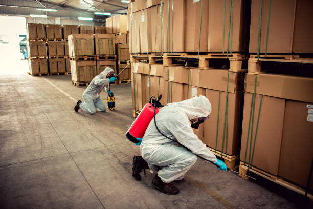 Best Exterminator Services  in Telford, TN