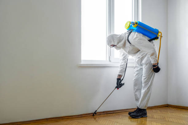 Best Rat Extermination Near Me  in Telford, TN