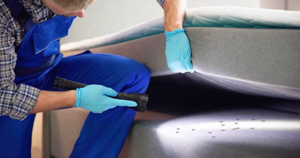 Best Best Pest Control Companies  in Telford, TN