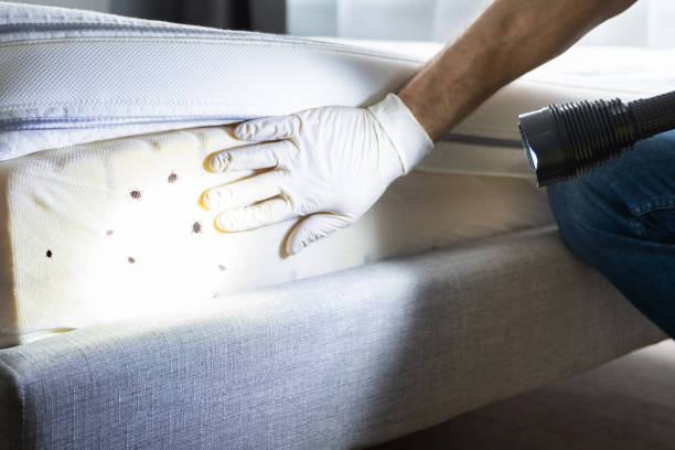 Best Emergency Pest Control  in Telford, TN