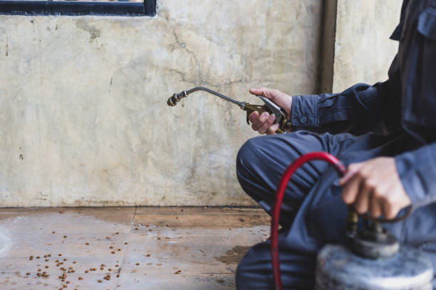 Pest Control Cost in Telford, TN
