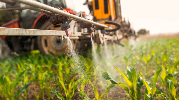 Best Commercial Pest Control Services  in Telford, TN